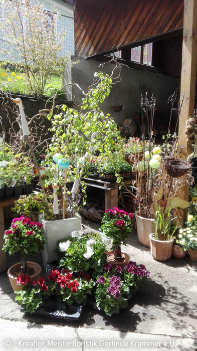 Gartenpflanzen