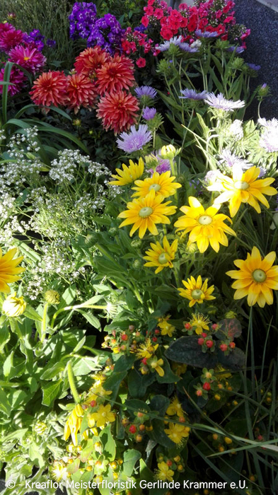 Gartenpflanzen