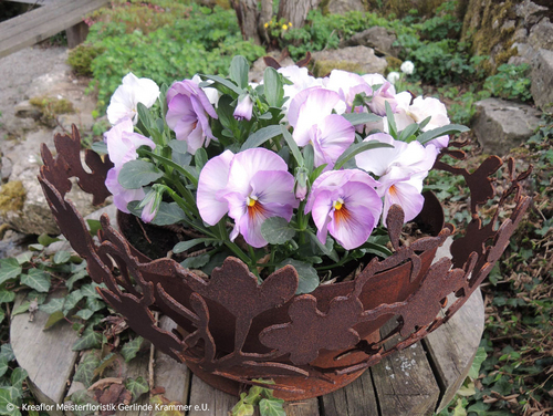 Gartenpflanzen in Schale