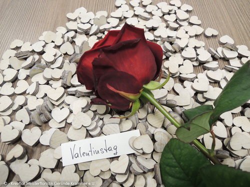 Valentinstag Rose